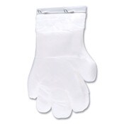 Inteplast Group Reddi-to-Go Poly Gloves on Wicket, One Size, Clear, 8,000/Carton Item: IBSR2GOPE8K
