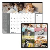 Blueline® Pets Collection Monthly Desk Pad, Furry Kittens Photography, 22 x 17, White Sheets, Black Binding, 12-Month (Jan-Dec): 2025 Item: REDC194115