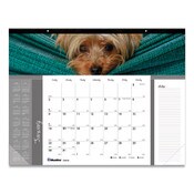 Blueline® Pets Collection Monthly Desk Pad, Puppies Photography, 22 x 17, Black Binding, Clear Corners, 12-Month (Jan to Dec): 2025 Item: REDC194116