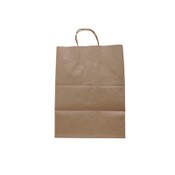 Solupac™ Take Out Twist Handle Bag, Natural Twisted-Paper Handles, 12" x 9" x 15.75", Natural, 200/Carton Item: TDPTKNTAOUDE