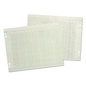 Wilson Jones® Accounting Sheets, 10 Columns, 9.25 x 11.88, Green, Loose Sheet, 100/Pack Item: WLJG1010