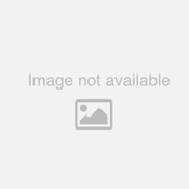 Gorilla® Max Strength Mounting Tape, Permanent, Holds Up to 45 lb (3 lbs per 4 in), 1 x 60, Black Item: GOR112962